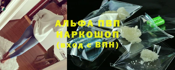 СК Аркадак