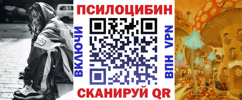 Купить  Урай  Галлюциногенные грибы Psilocybine cubensis 